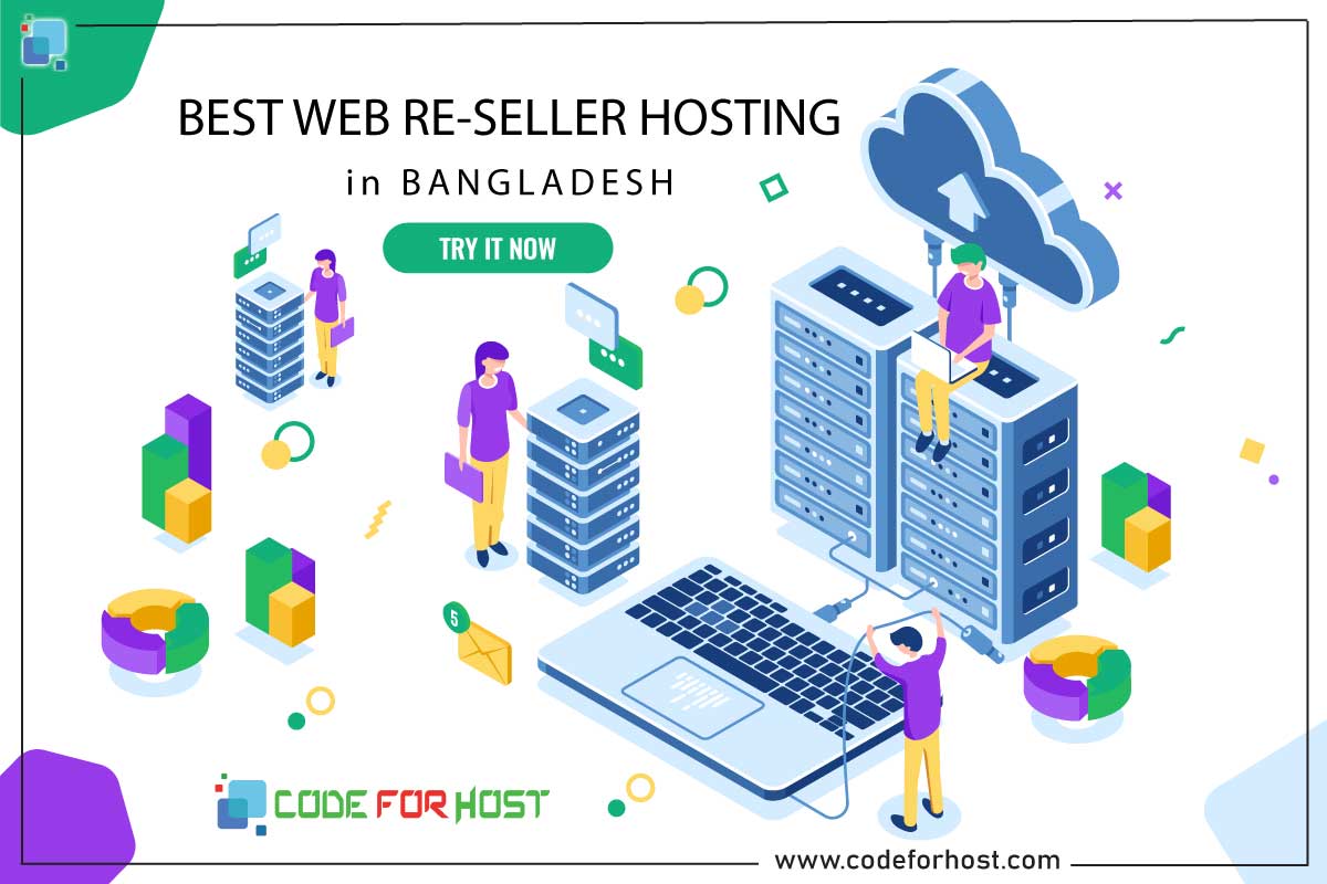 How To Host A Website For Novices Locally And Or Publicly